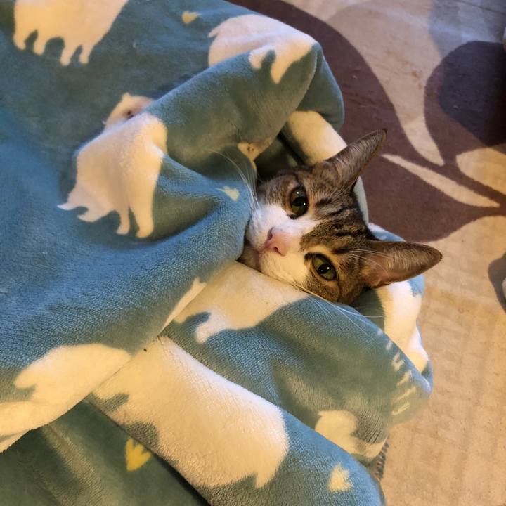 33f64bbc 19c1 4a64 9824 a7f25cad9c05 1674875302531