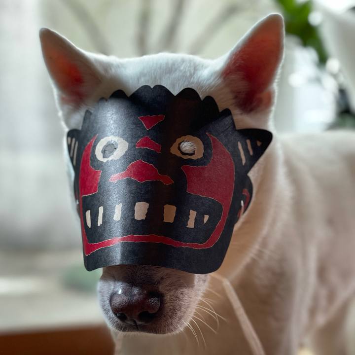 33f675be abe3 4e67 8a33 6998d8d748bb 1706920924583