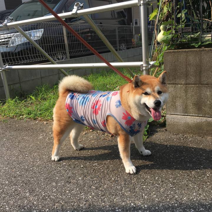 33f69e86 715a 45cf 84a1 606aee7a721d 1564616823639