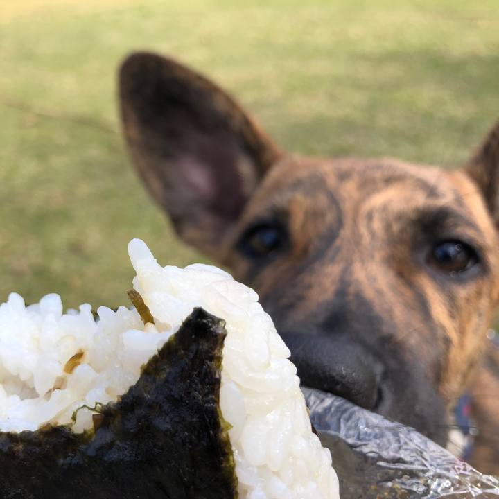 33f6acd9 b2d7 4e3d 91c1 2cbec383e654 1573724678611