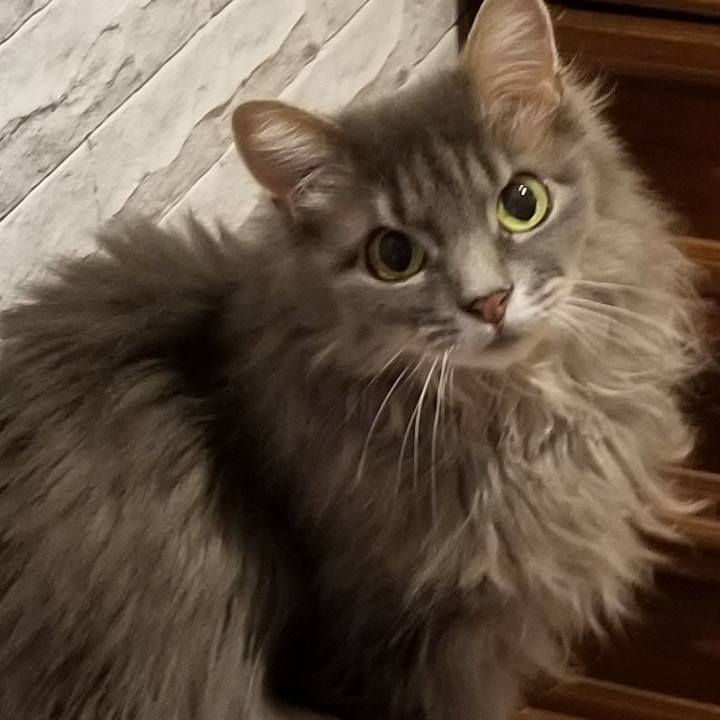 33f6c5e5 8556 4d36 b7cc 686581476d16 1593509148485