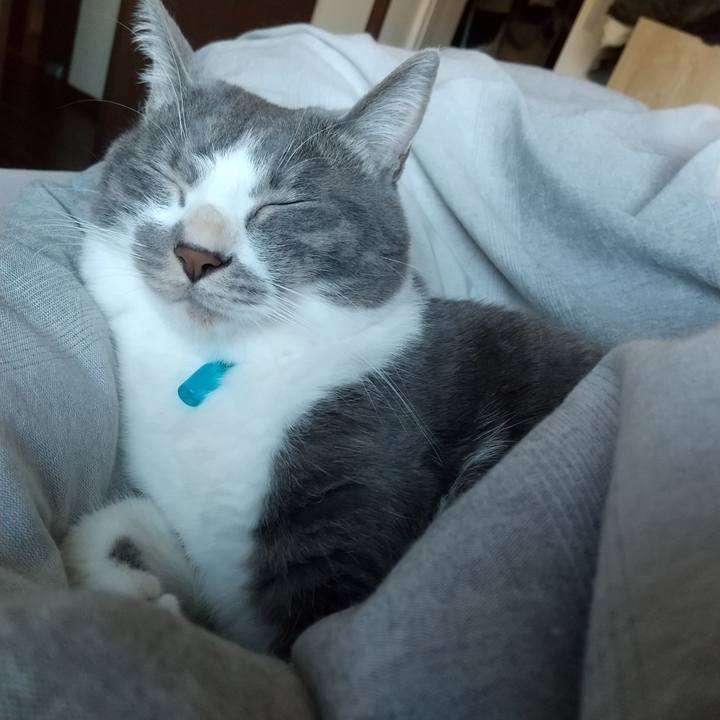 33f6d75b 699a 413d a5e9 9035ddc804aa 1640486452896