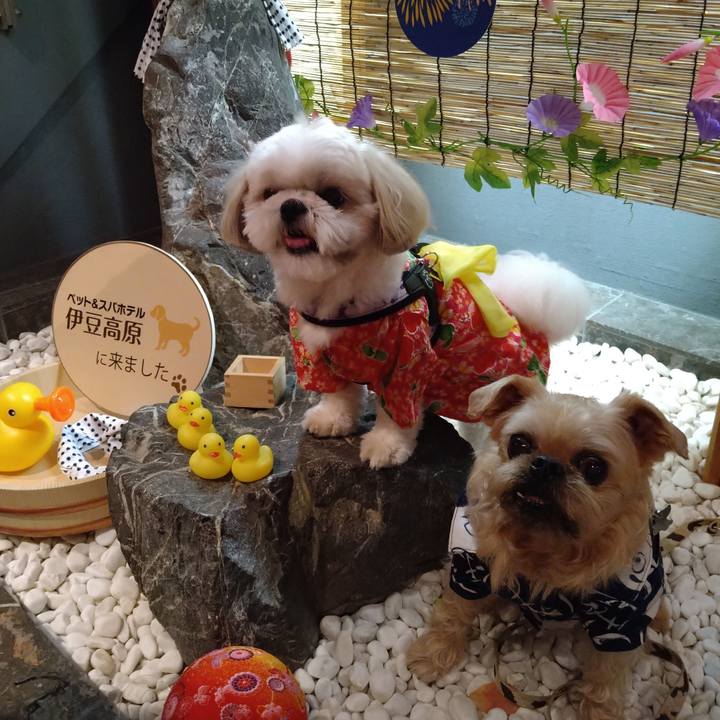 33f6df18 b264 48d3 a8f9 b46777b5404b 1656206465728