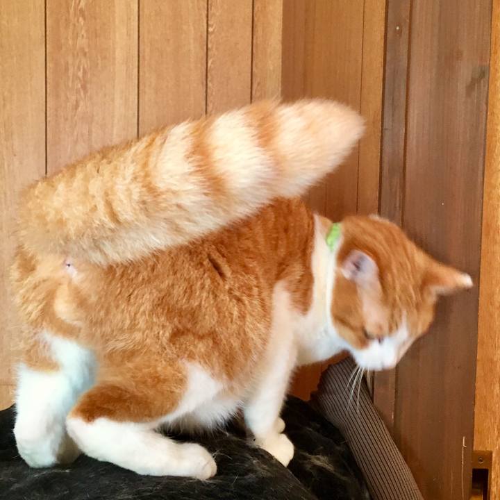 33f72317 7fbd 4903 a9e1 0037dc1c0439 1556228743264