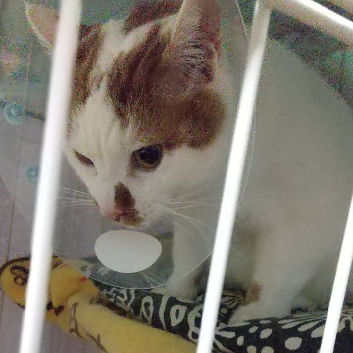 33f75c69 2fad 4103 aa48 60a8202103a3 1676717959766