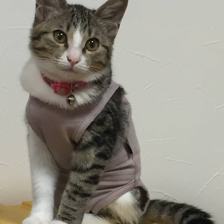 33f76984 1c7c 41af 97ef c99ccd44cc17 1663649285235