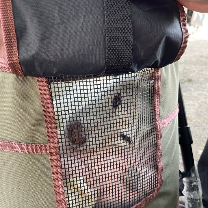 33f7895f e1fc 4571 9c58 b5d166515ac9 1653412215032