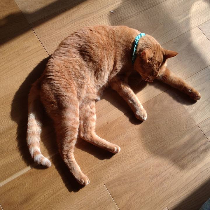 33f7c3c9 03af 42aa b5ee 978b1e13c2fc 1737344501455