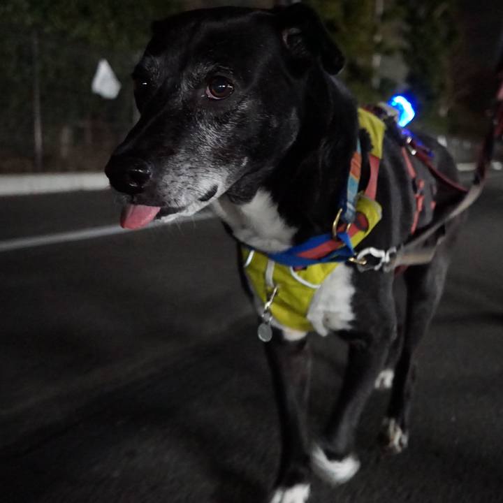 33f7ccbc 2142 4a04 bd90 61331a4b8b64 1772378109059