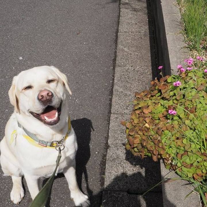 33f7f783 573d 4c9e 8472 c2f8f5c1796e 1521868116165