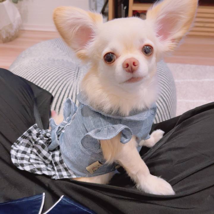 33f80de6 ff4f 4aa0 a06d 1135939b6a54 1688990691800