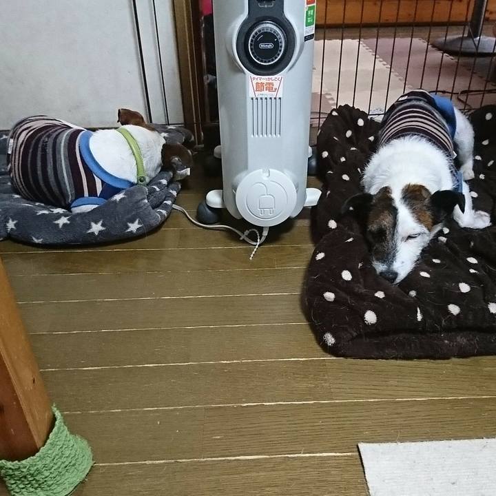 33f81998 c554 4ff7 a607 a1c5f2ce47d0 1586841184776