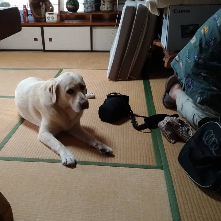 33f81d53 edd1 4980 9d70 9928995878bb 1625103217074