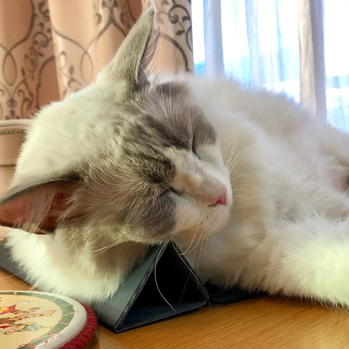 33f842ec 8ec4 4ce9 9d18 e7189cb9bf8a 1569815639037