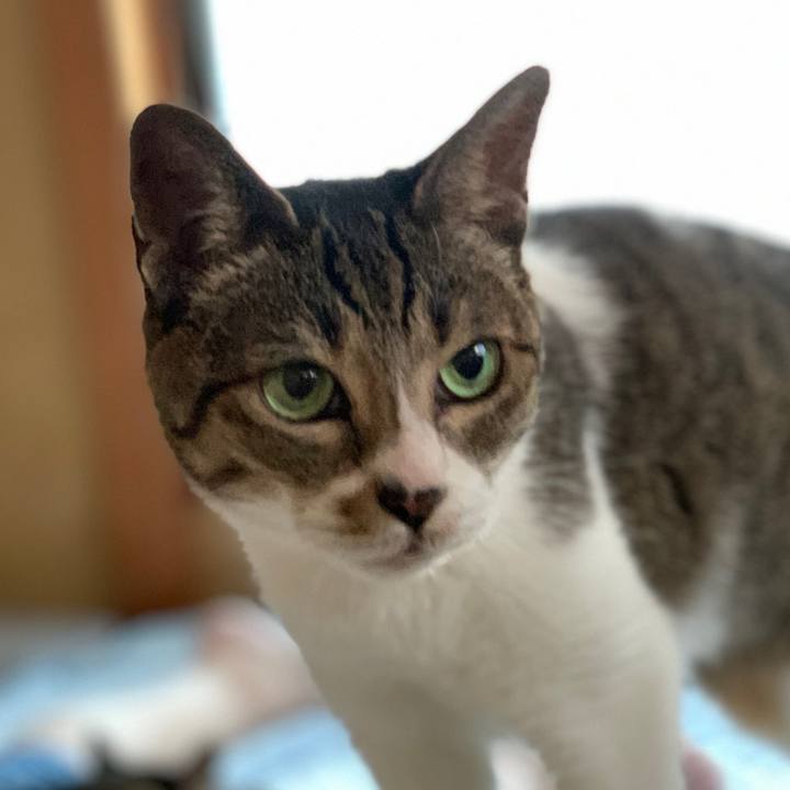 33f84be6 b0be 4767 a8a7 18dd6ecc1ee9 1597878011238