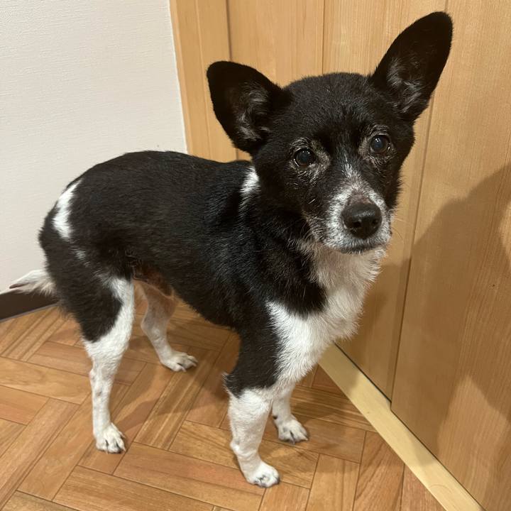 33f857e8 d9b0 4267 806d 66c89c5313cc 1706529362999