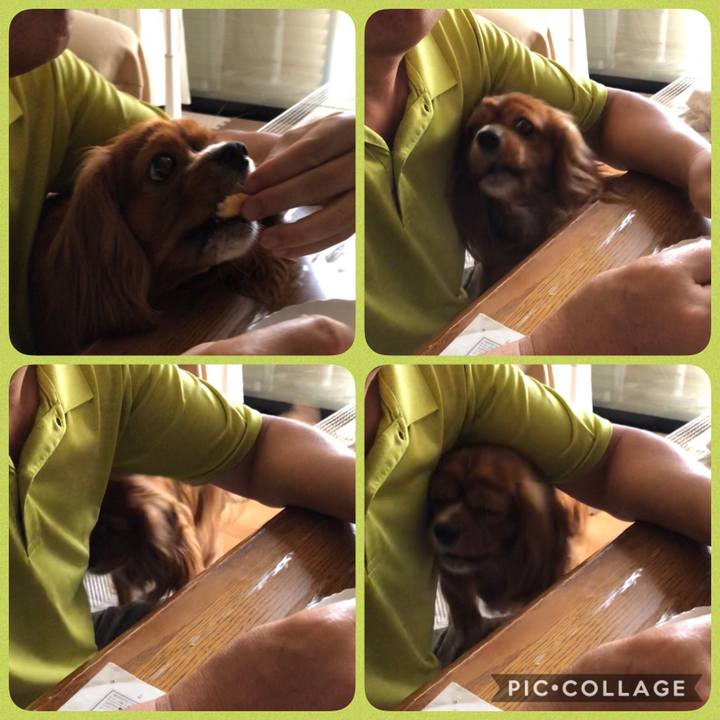 33f86440 b14f 48a3 98e1 eec89d3c1a65 1598136523488