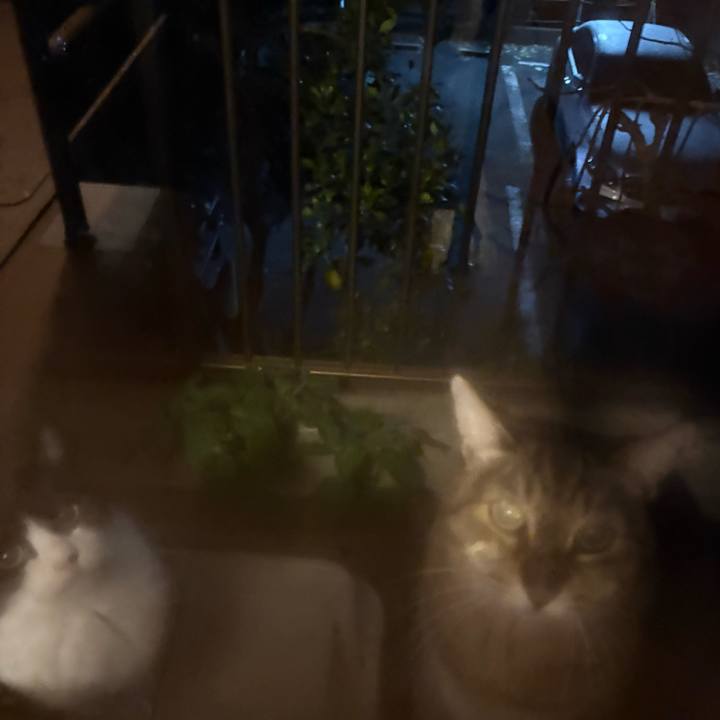 33f87ac1 ff62 43c0 a9ee dc649fc5488e 1763996948271