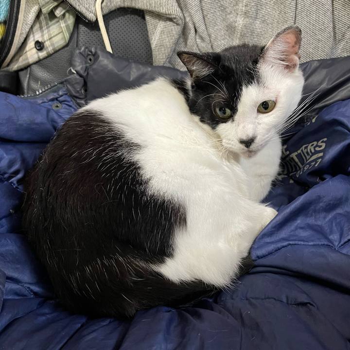 33f8b826 1d44 4b31 a643 084936f42127 1761864845786