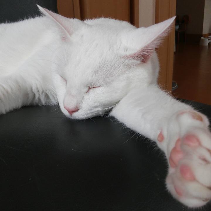 33f8cf79 172e 476e 8b99 27db04587da3 1530243724083