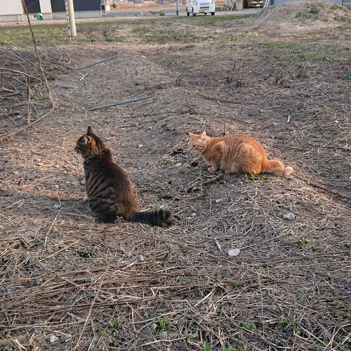 33f8d0d8 249b 447b a8d0 e5deceff3533 1649580340148