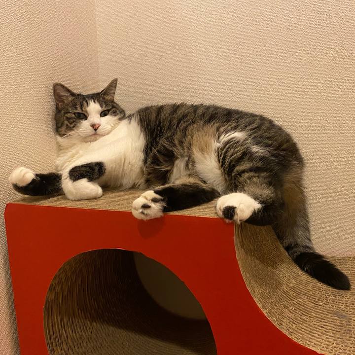 33f8d42e f82e 45ce 96e1 da0c0601318a 1688987138420