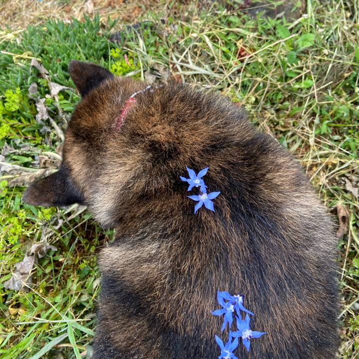 33f93b11 5496 4f11 8490 6686ce1a50b9 1652411448647