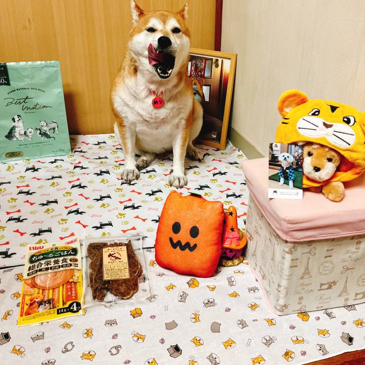 33f98bf5 5580 45c3 a117 6556db7afccc 1662966410879