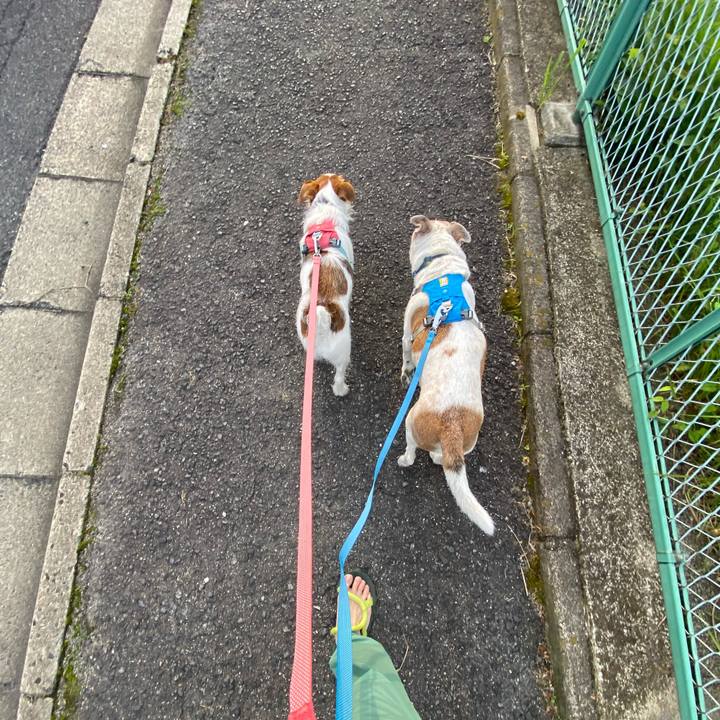 33f99b8a f325 4152 bbdf 98d782e61dd2 1686172468220