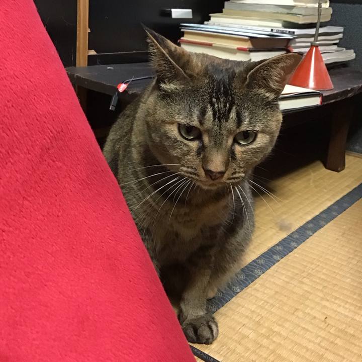 33f99b91 ef35 40db 9cae b09768a6ce38 1725017188967