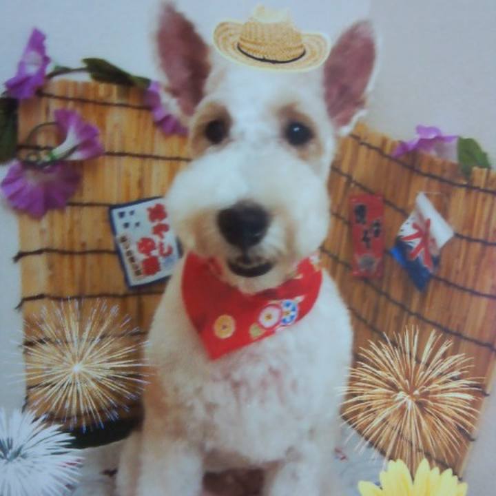 33f9ce11 df4c 468e bd1a a4666b2a5b4e 1596173177202