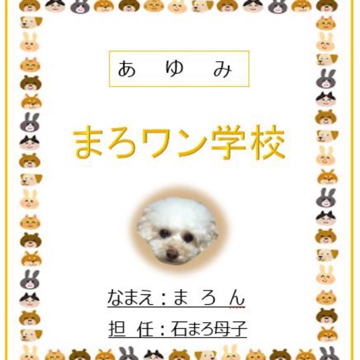 33fa0c97 0cc1 424b 9294 4e560f551a74 1513941683998