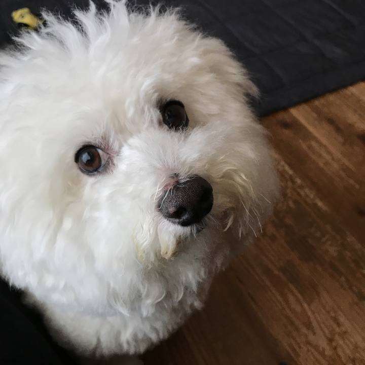 33fa1873 4304 42b1 b61f c2a8df10e981 1527133643997