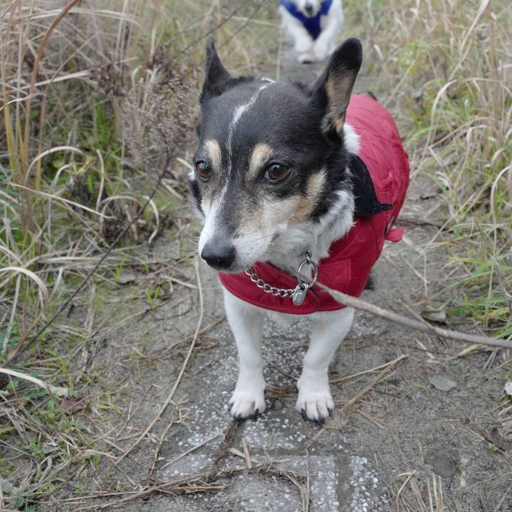 33fa1876 107d 4a8c 9792 728130e0b533 1575803242539