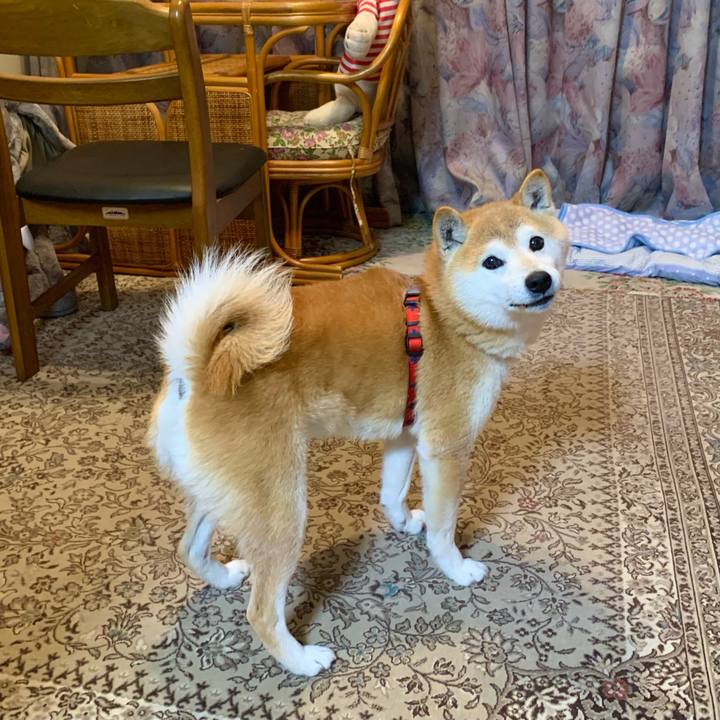 33fa21ba 9a9f 4d21 99d0 a246b1652bf3 1680432014321