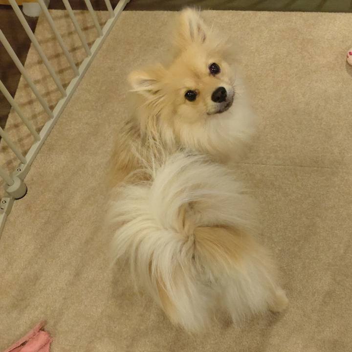 33fa4b47 240a 4640 8153 e8e986b55561 1747128301740