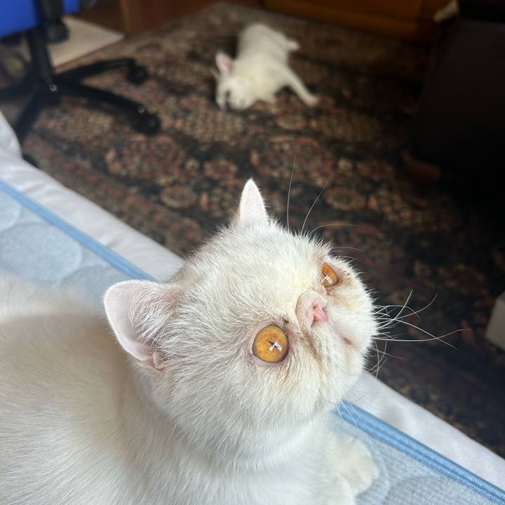 33fa91e3 658b 4540 936e 9c1b173d3d42 1726105221529