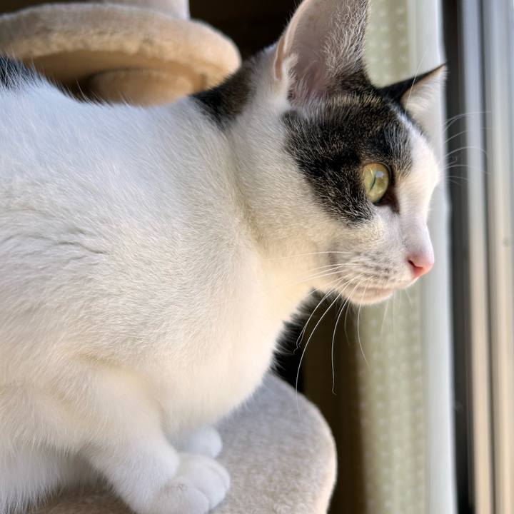 33fab466 285a 4886 9f3f 212da265121a 1730950471376