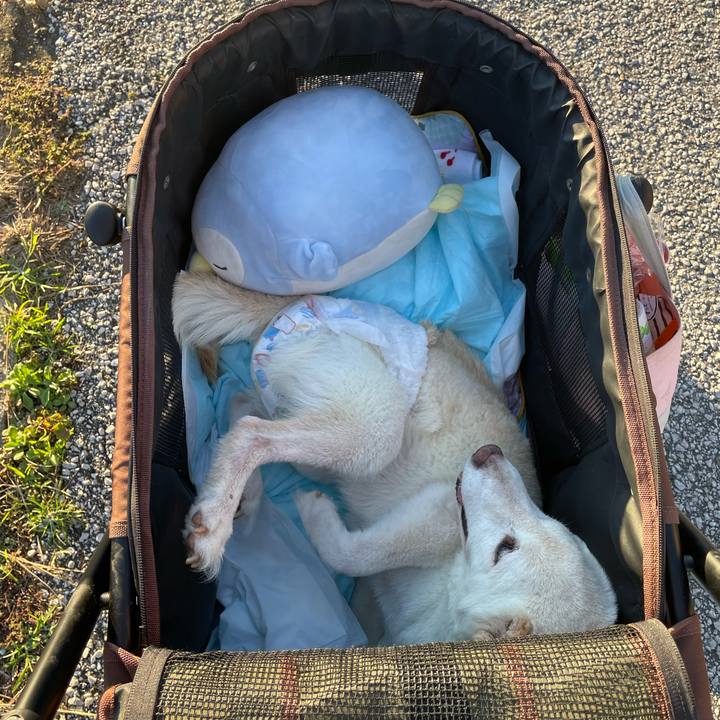 33fad318 aa4b 4115 94c3 7ab359222b28 1666288746481