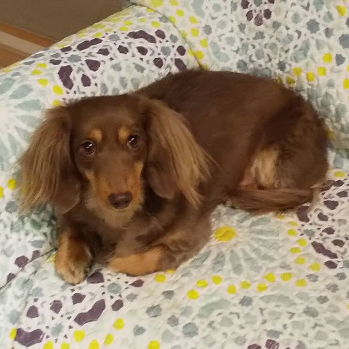 33fb1a90 37c0 4a7a 9812 a3e36785b9e2 1546946734334