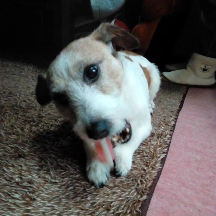 33fb50bd c9cc 4fab b559 18500fbb0b6b 1517664954717