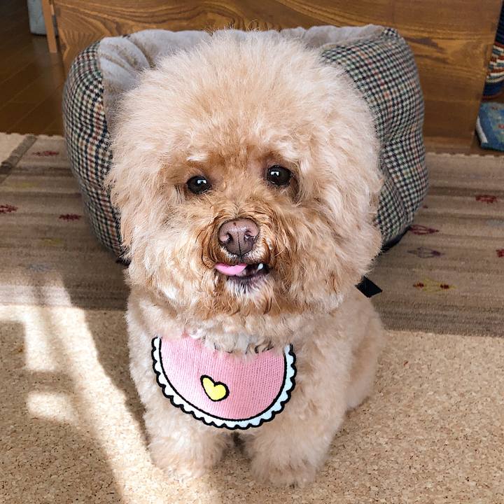 33fb52b5 ff69 443d 8c33 5f4504bce8dc 1573035996091