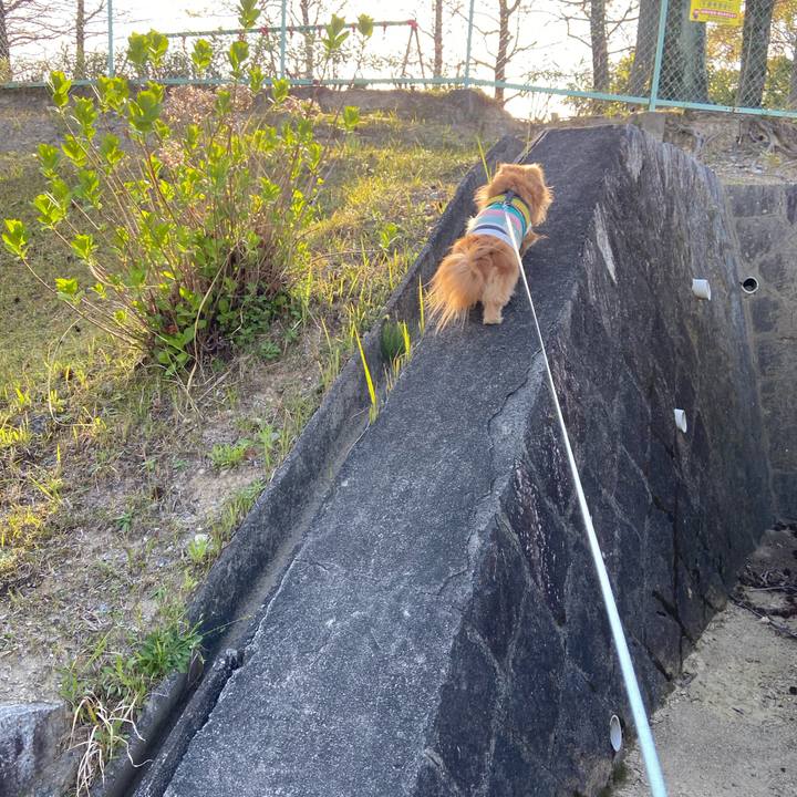 33fba25f dc43 40fa b776 26c662e35466 1618095021918