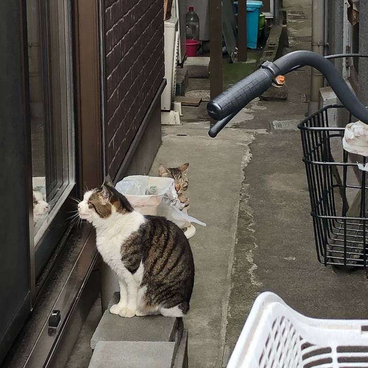 33fbb89f 3794 4474 90f8 bafd22e11211 1555085241396