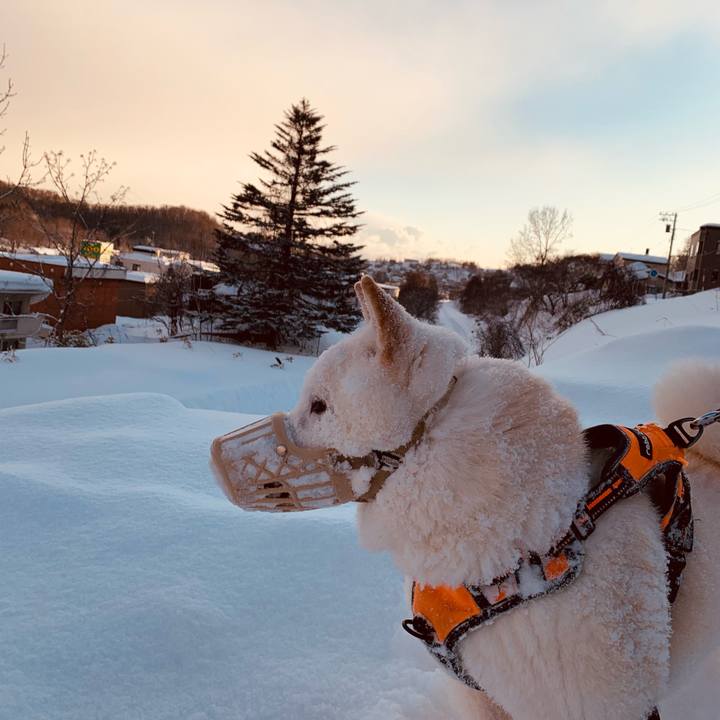 33fbbf85 1341 41bc beeb 8639f8003cc8 1675119164144