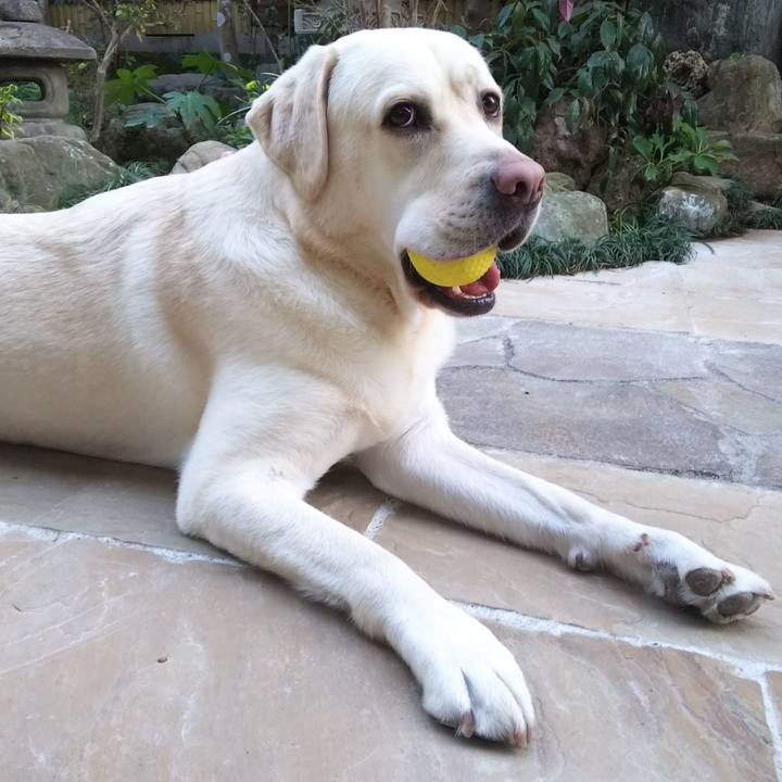 33fbde7a abfd 415a 99c8 77f69c2a5bc2 1547711043564