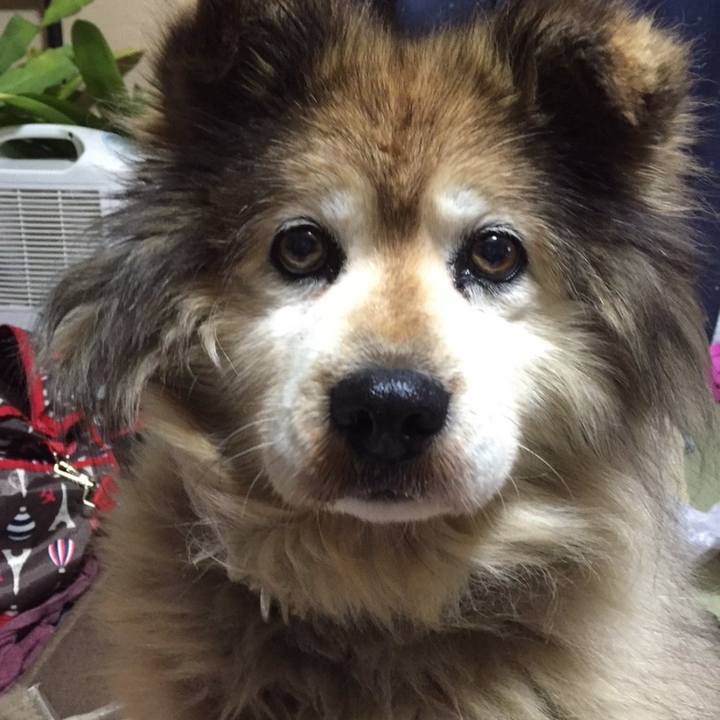 33fc002e 47e3 4b16 ab39 c7953d929fa6 1565517340201