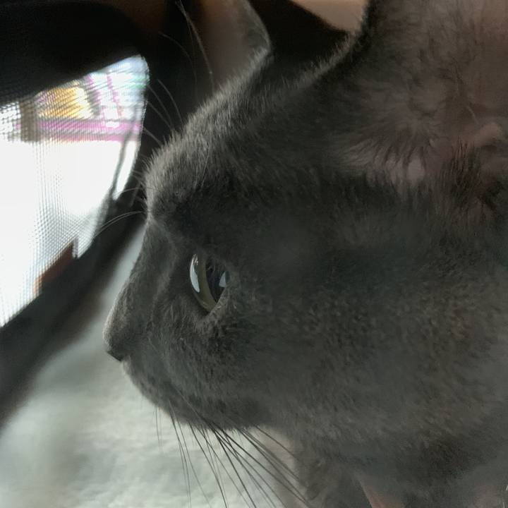 33fc284e 7a05 4d75 80b0 f4e09c70362e 1568938418519