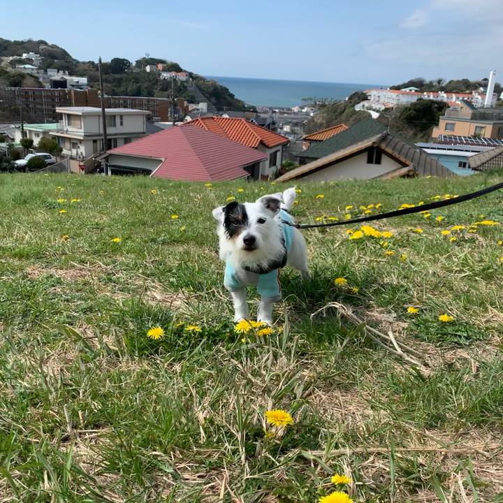 33fc43c9 264d 4482 bc23 cd6bef0ddb6a 1648427908447