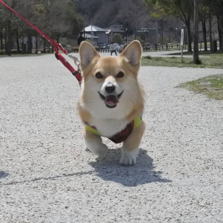 33fc83b9 08f8 4f8c 9f51 caddcaf9df67 1555740723408